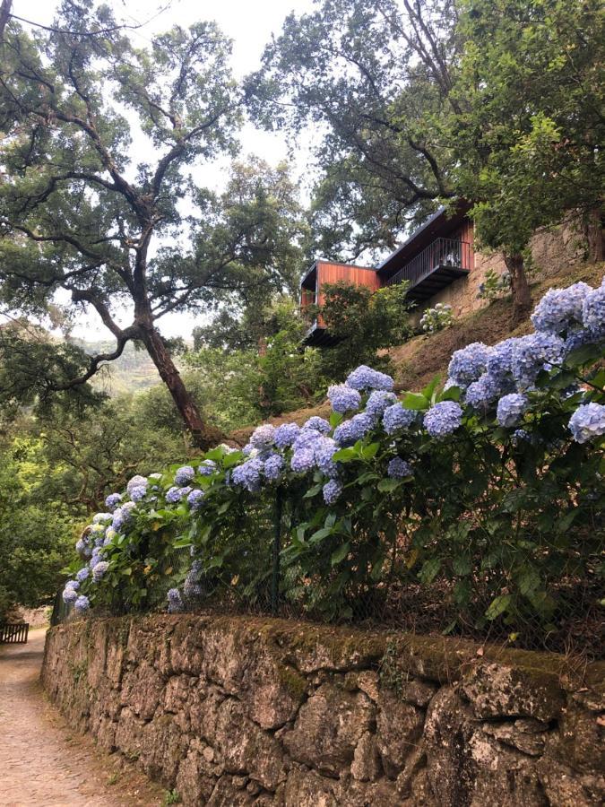 Sobreiro Valley - Casa Firmino Виейра до Миньо Екстериор снимка