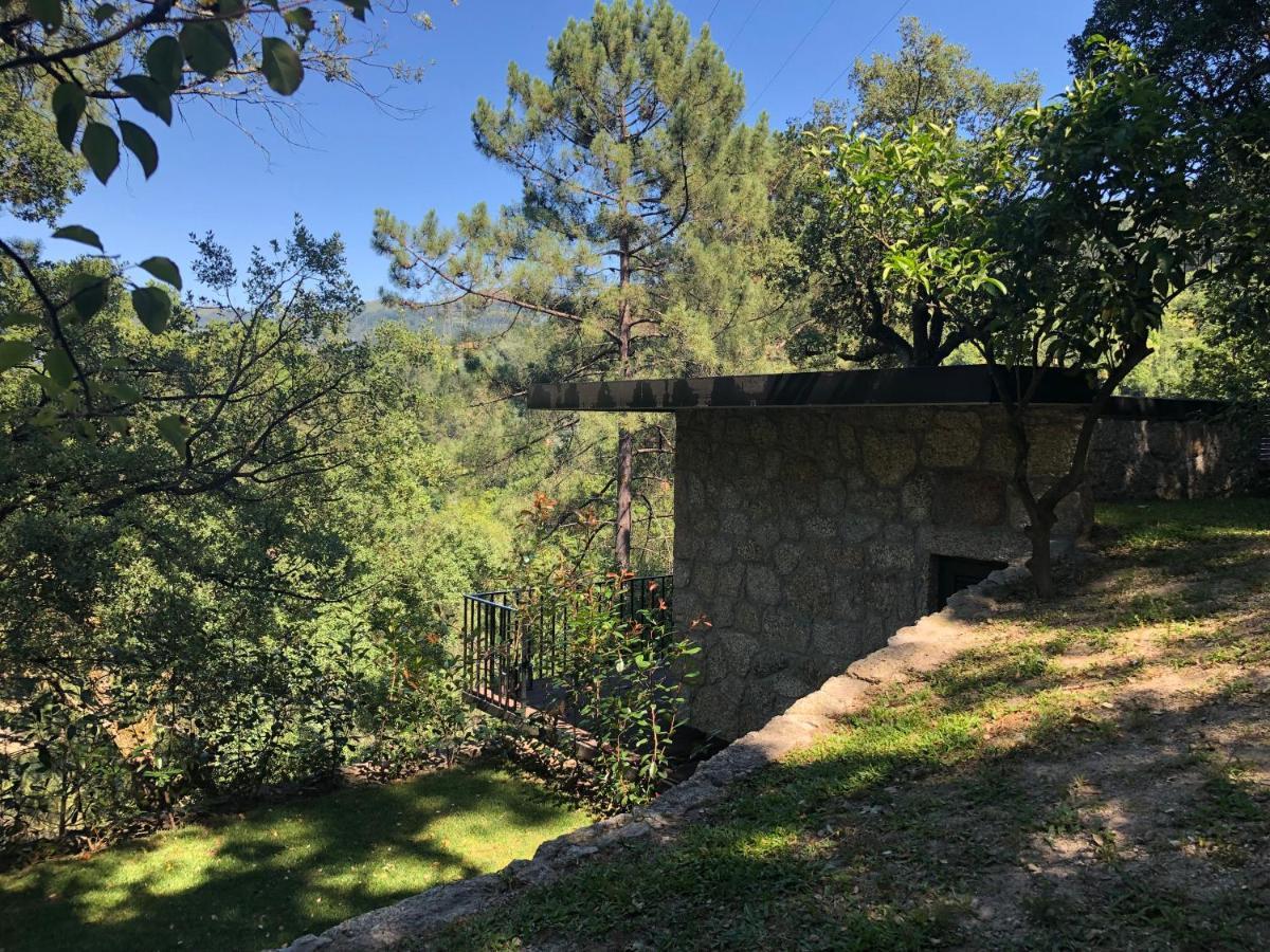Sobreiro Valley - Casa Firmino Виейра до Миньо Екстериор снимка