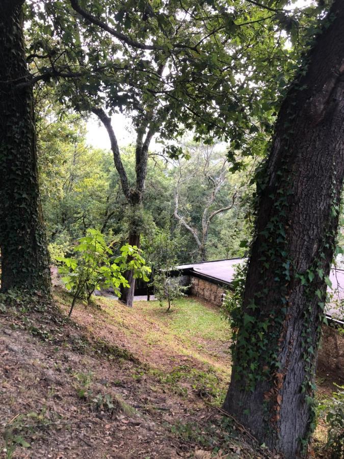 Sobreiro Valley - Casa Firmino Виейра до Миньо Екстериор снимка