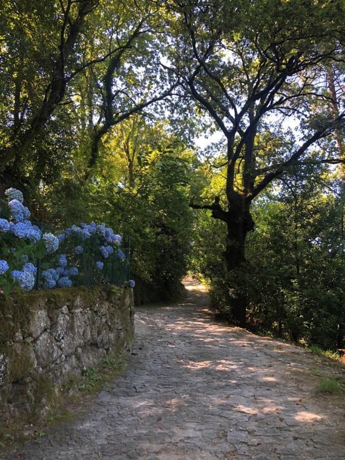 Sobreiro Valley - Casa Firmino Виейра до Миньо Екстериор снимка