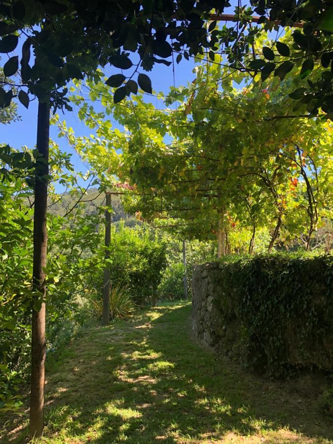 Sobreiro Valley - Casa Firmino Виейра до Миньо Екстериор снимка